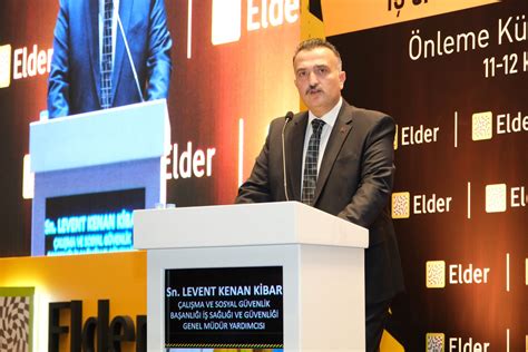 Elektrik Dağıtım Sektöründe Çalışanların İş Sağlığı ve Güvenliği . 