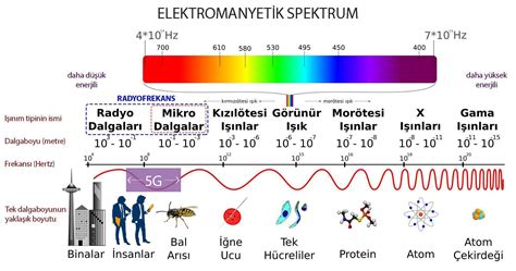 Elektromanyetik radyasyon nedir