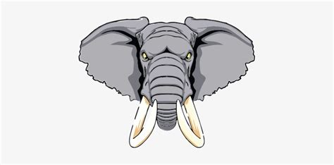 Elephant PNG Images PNG Cliparts Free Download on SeekPNG