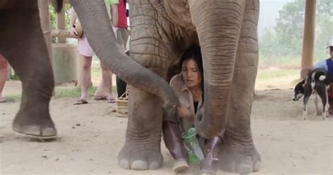 Elephant Tub Sex - th?q=Elephant anal human Banged moms porn