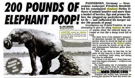 Elephant laxative. Things To Know About Elephant laxative. 