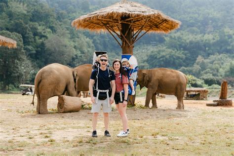 Elephant nature park controversy. .  ...