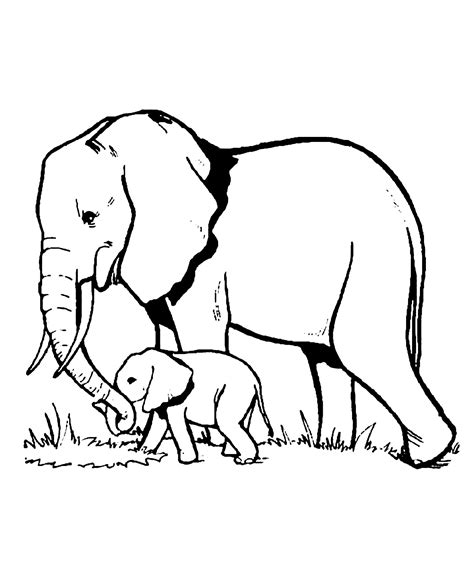 Elephants Coloring