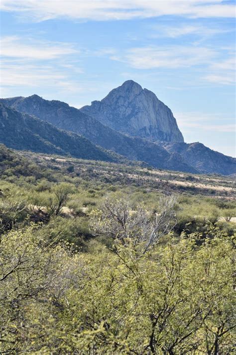 Elephants Head -- Santa Rita Mtns., Arizona