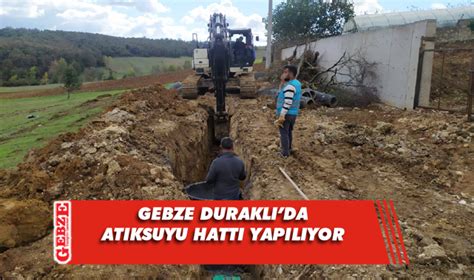 Elesli Halı ve Koltuk Yıkama