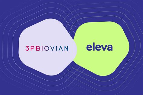 🍌 Eleva Leaks [CLIP]
