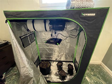 Elevate Your Indoor Gardening with the Unparalleled Vivosun Grow Tent Set Up: A Comprehensive Guide