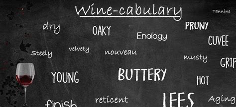 Elevate Your Wine Vocabulary with Our Comprehensive Wine Thesaurus