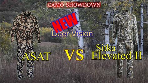 Elevated 2 vs. ASAT Rokslide Forum