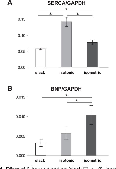 Elevated Afterload, Neuroendocrine Stimulation, and Human Heart …