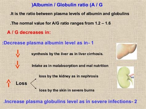 Elevated globulin workup.  Learn more.  Learn its causes, significance, an...