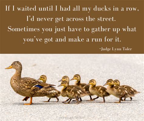 Eleven Ducks All in a Row Short Stories 1