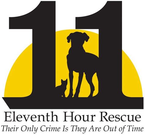 Eleventh hour rescue. Eleventh Hour Rescues started with a group of five hobby rescuers in 2018. They educate other novice rescuers on TNR (Trap Neuter Release) and self-funding for vet tests. Eleventh Hour isn’t limited to cats and dogs — they’ve also rescued pigs and rabbits. Contact the group via email: eleventhhourrescues@gmail.com. 