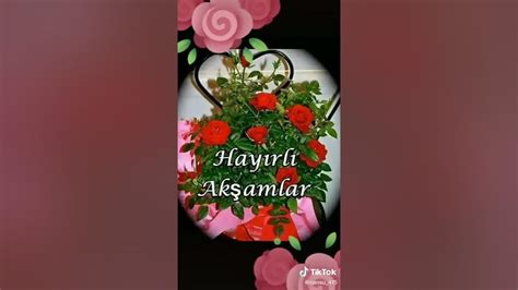 Eleyup Halı ve Koltuk Yıkama