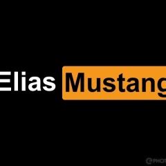 Elias_Mustang Leaks [HD] 56 Photos