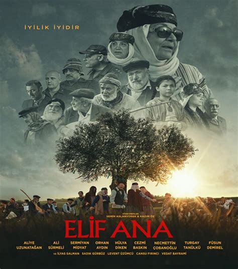 codini.rgarabwor.edu.pl. 