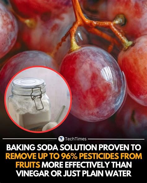 Elizabeth Cambar Leaked (SEX) 💋 129 Photos