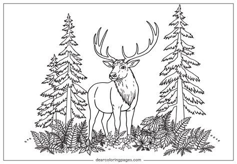 Periodic Table Coloring Sheet