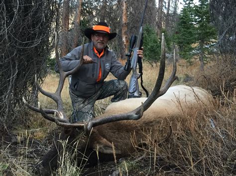 Elk Hunt Mule Deer Hunting Outfitters - BLACK …