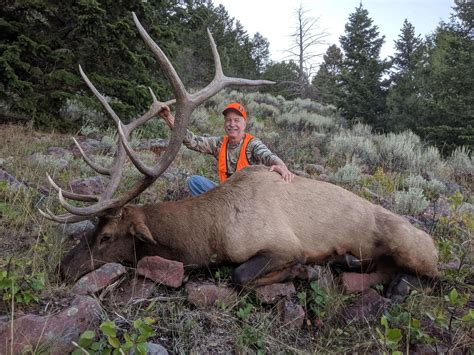 Elk hunter. Things To Know About Elk hunter. 