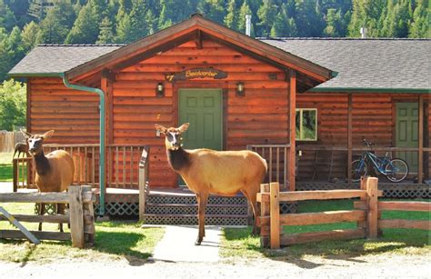 Elk meadow cabins. 15 Reviews. 10. “ Great location - excellent Tiny Cabins - a chance to make memories with my granddaughter ”. • Leisure trip. • Family with young children. • Bungalow with Garden View. • Stayed 1 night. A minor problem as I didn't understand how to access the cabin. 
