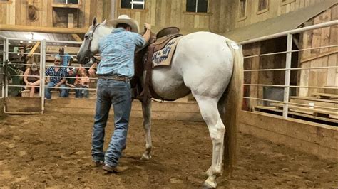 Elkhart horse auction texas. Share your videos with friends, family, and the world 
