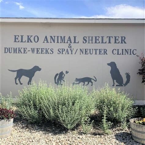 Elko animal shelter. City of Carlin Animal Shelter 101 S. 8th St, Box 969, Carlin, NV 89822 Pet Types: dogs 