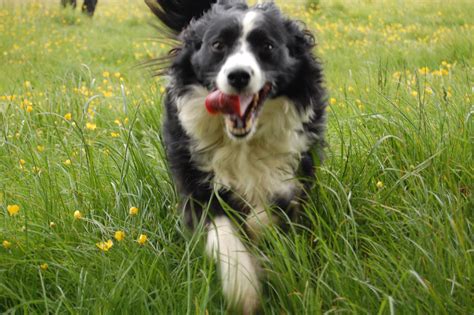 😈 Elliejohns Leaked XXX