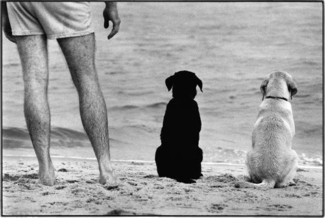 Elliott erwitt