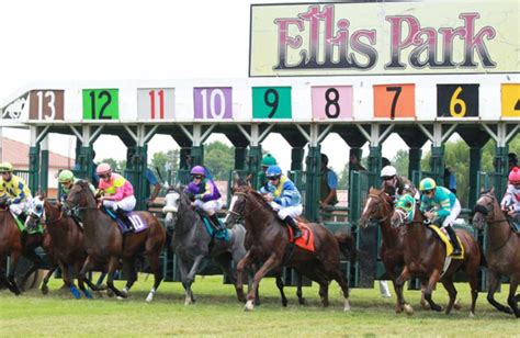 Ellis Park Entries & Results for Saturday, June 24, 2023. Ellis Park was built as Dade Park in 1922 by the Green River Jockey Club, and has offered Thoroughbred racing ever since. Renamed in 1954, it is one of five Thoroughbred racetracks in Kentucky. Biggest stakes: The Gardenia Stakes .. 