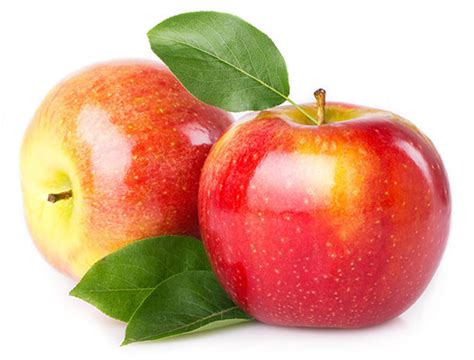 Elma yaprağı faydaları