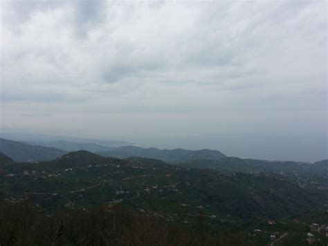 Elmaalan Halı ve Koltuk Yıkama