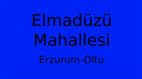 Elmaduzu Halı ve Koltuk Yıkama