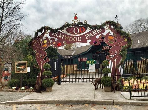 Elmwood zoo in norristown. Posted Mon, Jan 29, 2024 at 2:25 pm ET. (Shutterstock) NORRISTOWN, PA — Elmwood Park Zoo has announced something entirely different for Valentine's Day this year. The zoo's always creative ... 