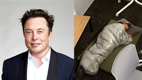 Elon Musk Twitter: Employee can be seen sleeping on office