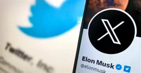 Elon Musk mató oficialmente a Twitter: la plataforma zombi vive como X, un caparazón de lo que era antes