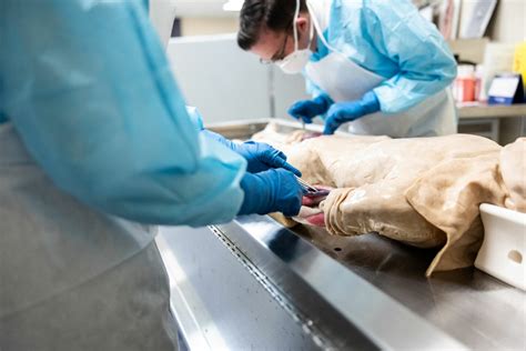 Embalming school online.  Providing highly skilled and competent trainees ...