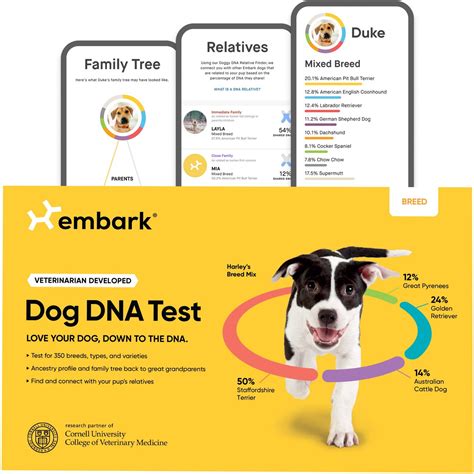 Embark dog dna test. Details. Reveals your paw-tner’s breed, ancestry, relatives and more with a simple cheek swab. Analyzes over 230,000 genetic markers and screens for over 350 breeds. Helps identify your pup’s family tree and reveals his ancestry all the way back to his great-grandparents. Results are usually delivered in 2-4 weeks so you can connect with ... 