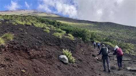 Embark on an Unforgettable Hike at Majestic South Tent Mountain