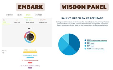 Embark vs wisdom panel. 2Mars Veterinary Wisdom Panel 3.0 Breed DNA Kit. As noted in our review, Wisdom Panel 3.0 is currently the most popular DNA test for dogs. Created by Mars Veterinary, this kit offers comprehensive ... 