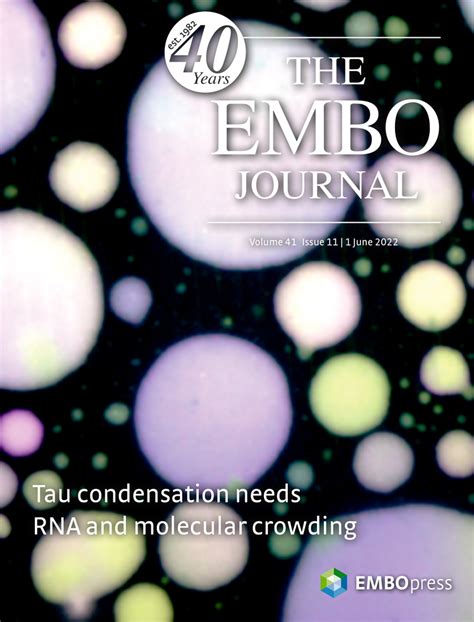 Embo Journal Impac