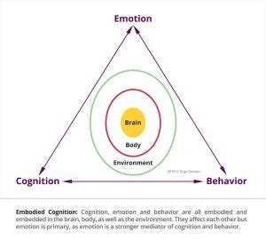 Embodied Cognition: Definition, Theory & Experiments