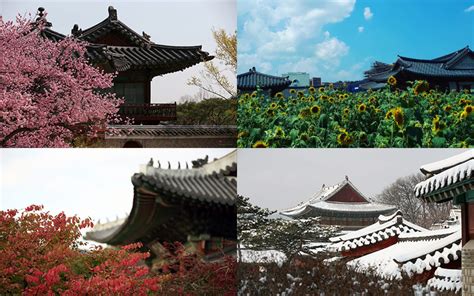 Embrace the Beauty of the Four Korean Seasons**