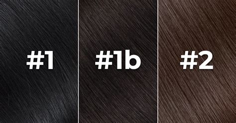 Embrace the Spectrum: Unlock the Nuances of Hair Colors 1 1b 2 4