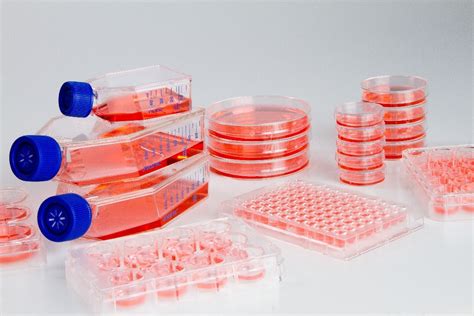 Embryoid body formation in Thermo Scientific Nunclon …