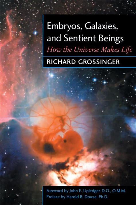 Read Online Embryos Galaxies And Sentient Beings How The Universe Makes Life By Richard Grossinger