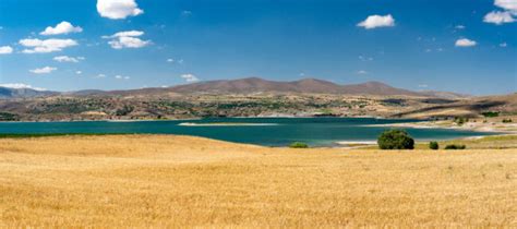 Emegil Halı ve Koltuk Yıkama