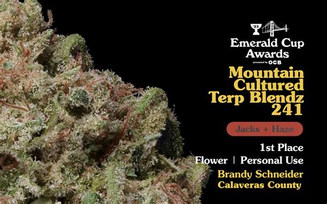 Emerald Cup Picks California’s Finest Cannabis for 2023