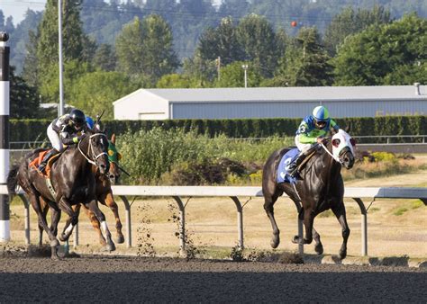 Emerald downs equibase. Things To Know About Emerald downs equibase. 