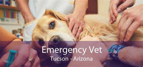 Emergency Vets Tucson AZ Find 24 Hour ER Veterinarians